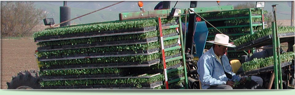 plastic injection molding seedling trays speed up farming process